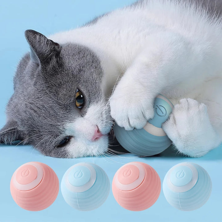 Automatic Moving Cats Interactive Ball