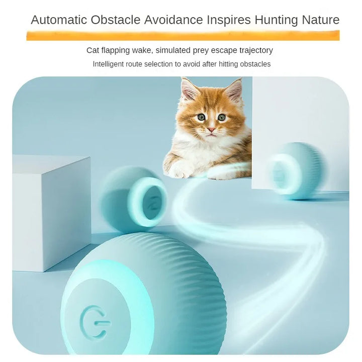 Automatic Moving Cats Interactive Ball